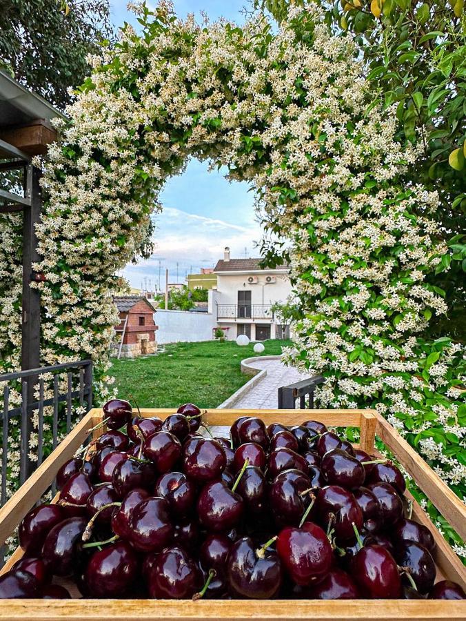 Villa Ardigo - Camera O Appartamento Bari Eksteriør billede